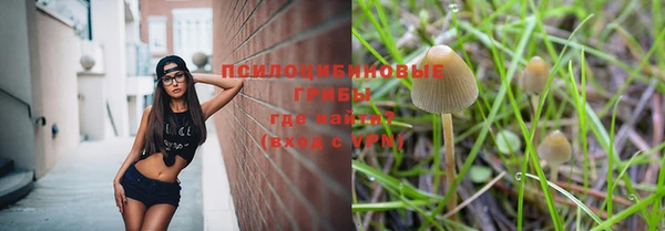 ALPHA PVP Краснослободск