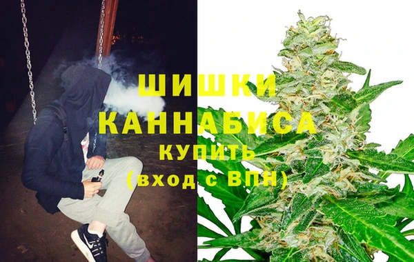ГАЛЛЮЦИНОГЕННЫЕ ГРИБЫ Краснотурьинск