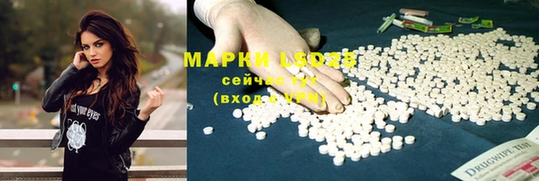 ALPHA PVP Краснослободск