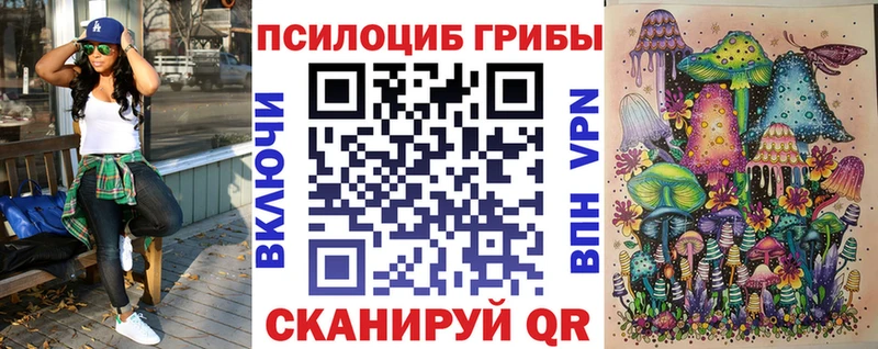 Псилоцибиновые грибы мицелий  Купить закладки  Новокубанск 